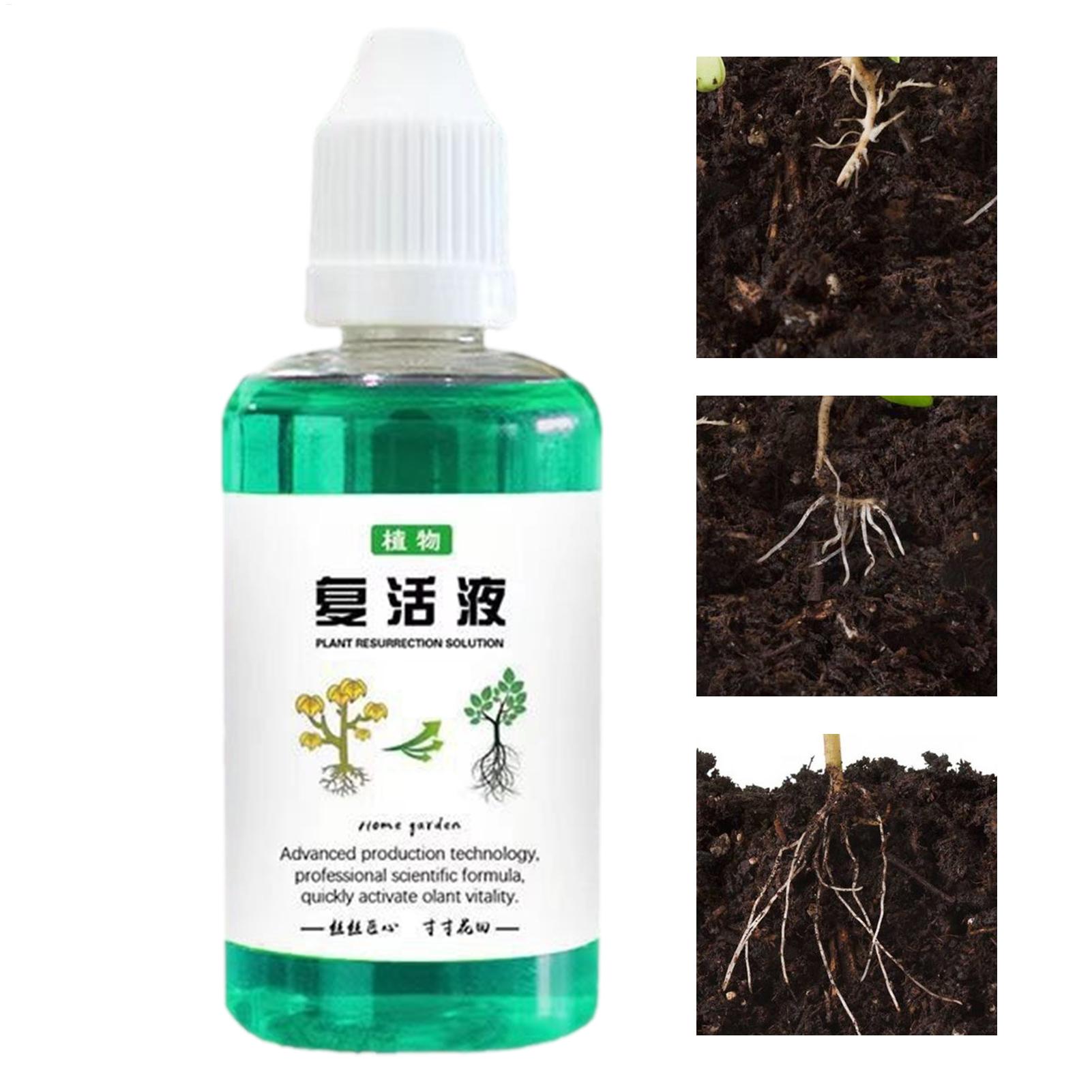 Root Stimulator Liquid - 50ml 뿌리 활성제 식물 재생액 야채