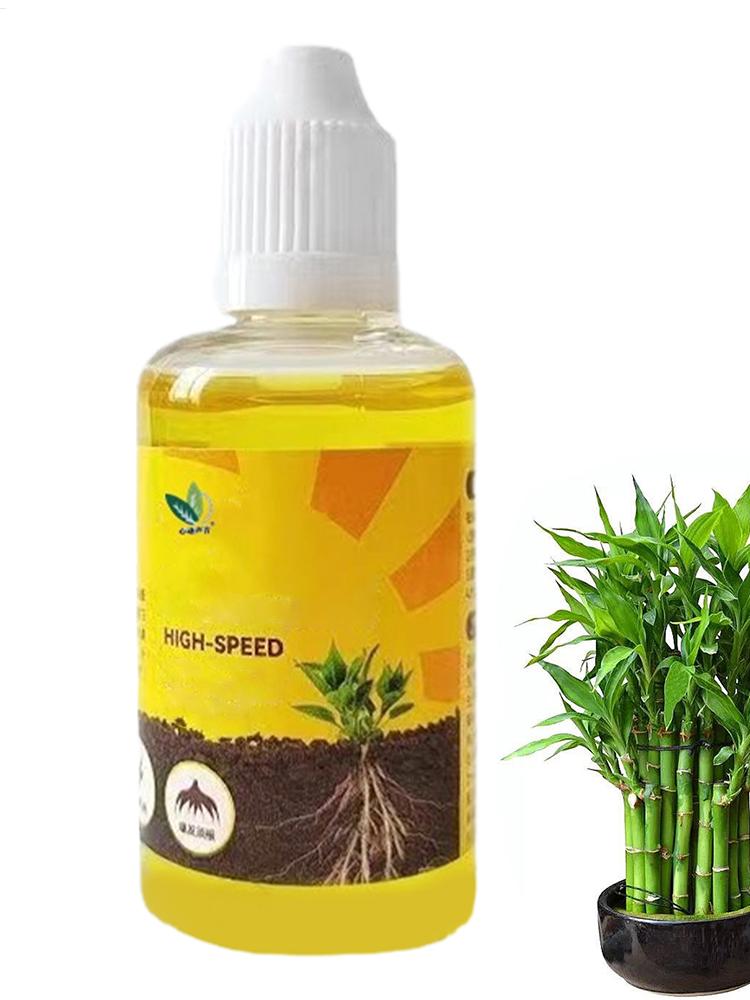 식물 뿌리 자극제 액상 식물 뿌리 강화제 액상 급속 뿌 - Root Stimulator Liquid 리뷰 및 가격