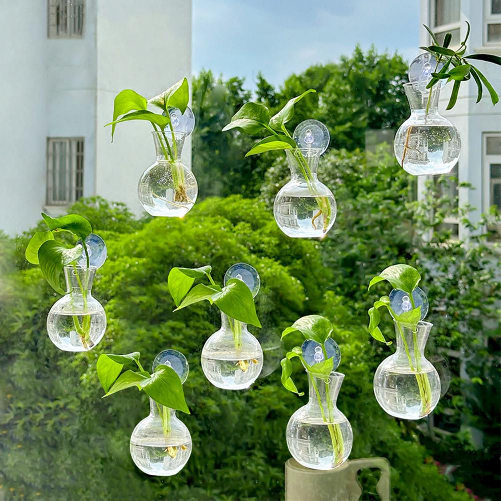 창문 화분 화병 창문 식물 홀더 1/2/3/4/6/8개 - Propagation Station Vase 리뷰 및 가격