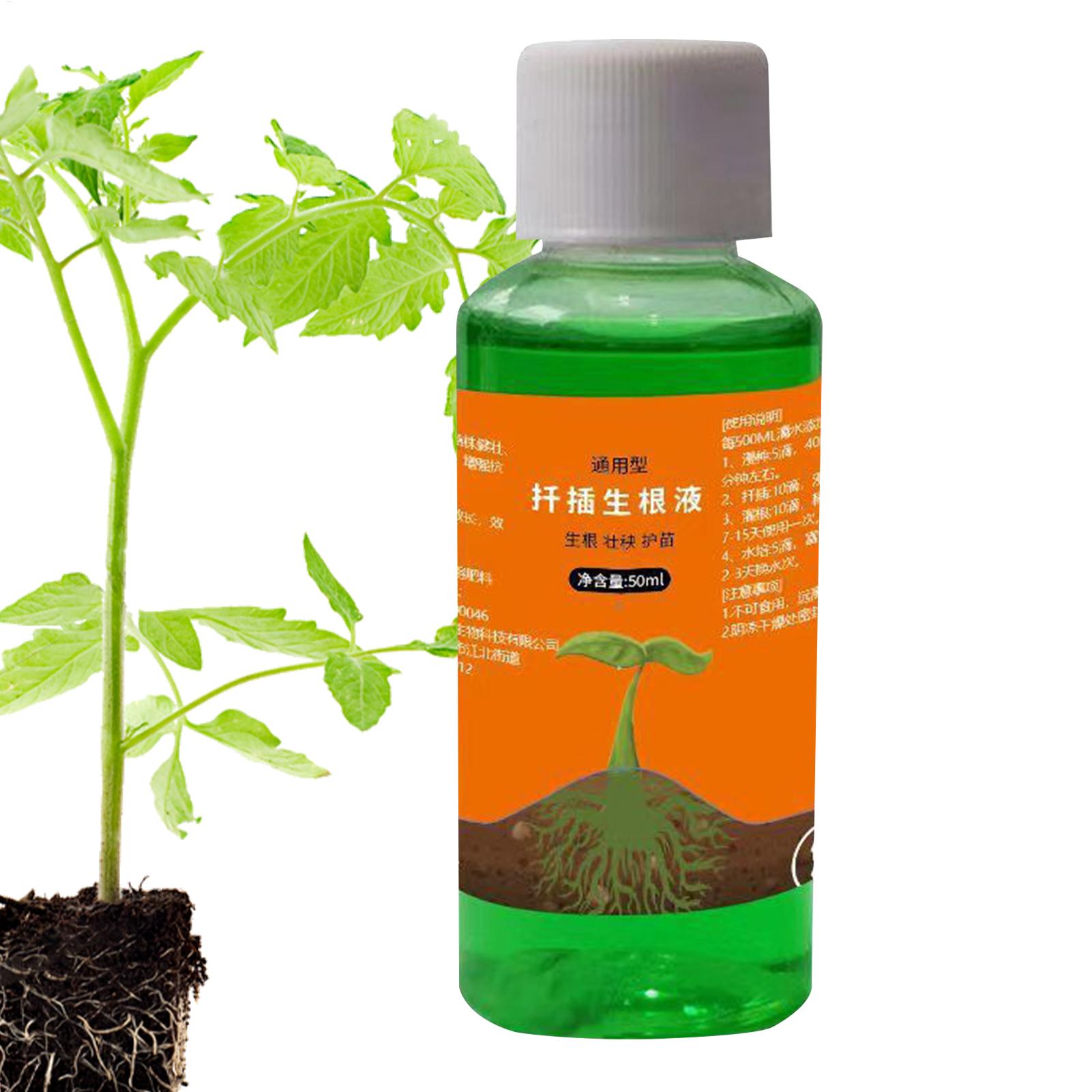 50ml 식물 재배 영양액, 묘목용 빠른 뿌리 성장액, - Root Stimulator Liquid 리뷰 및 가격