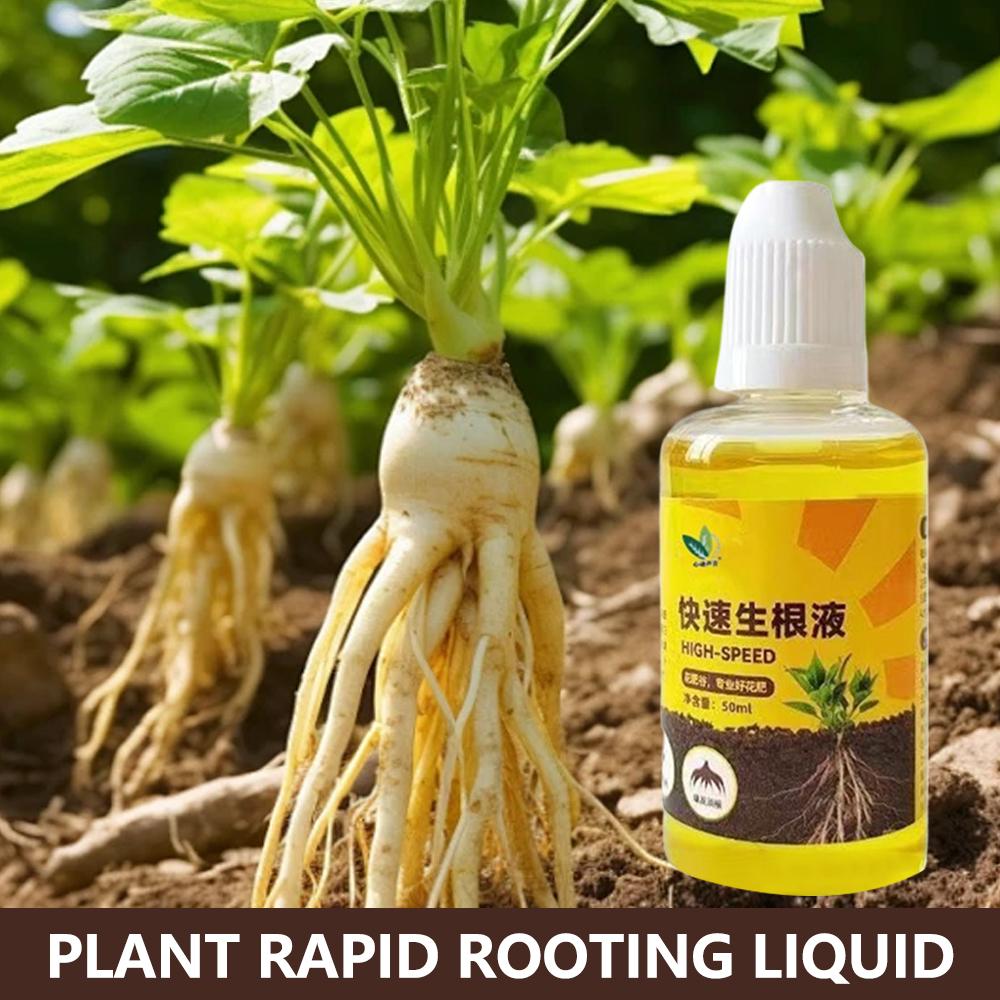 녹색 식물 뿌리 자극제 액체 절단 발근 영양제 자극제  - Root Stimulator Liquid 리뷰 및 가격